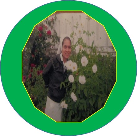 Sr.  Maria Da Silva